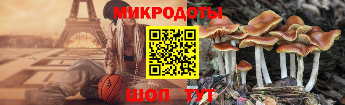 Галлюциногенные грибы Magic Shrooms  купить закладку  Ялуторовск  Галлюциногенные грибы Psilocybine cubensis  Вход с VPN 