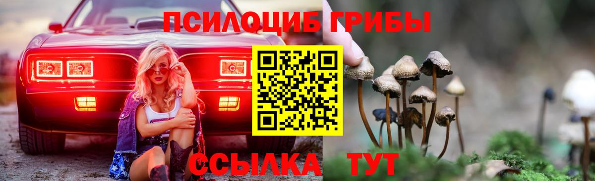 Псилоцибиновые грибы Psilocybine cubensis Ялуторовск